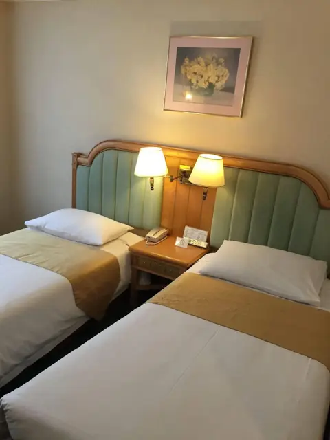Гонконг: The South China Hotel