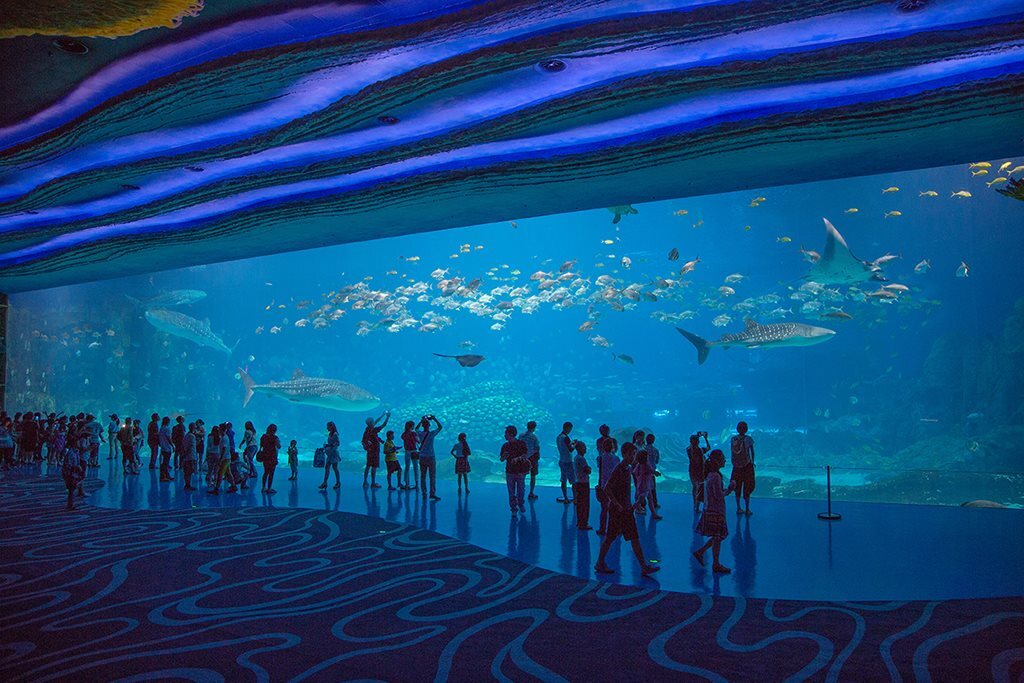 Чжухай: Chimelong Circus Hotel
