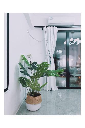 Сиань: Slow Life Guesthouse