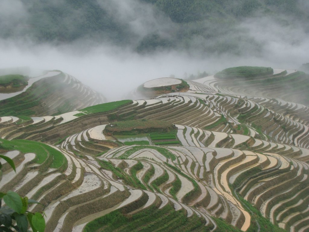 Яншо: Yangshuo Mountain Nest Boutique Hotel