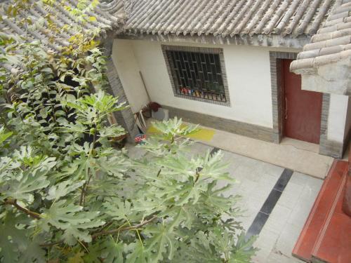Сиань: Terra Cotta Warriors Guesthouse