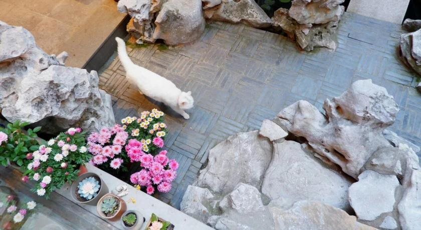 Шанхай: Xiao Yuaner Bed and Breakfast