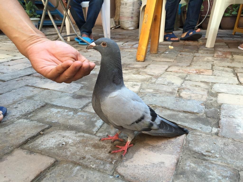 Кашгар: Kashgar Old Town Youth Hostel