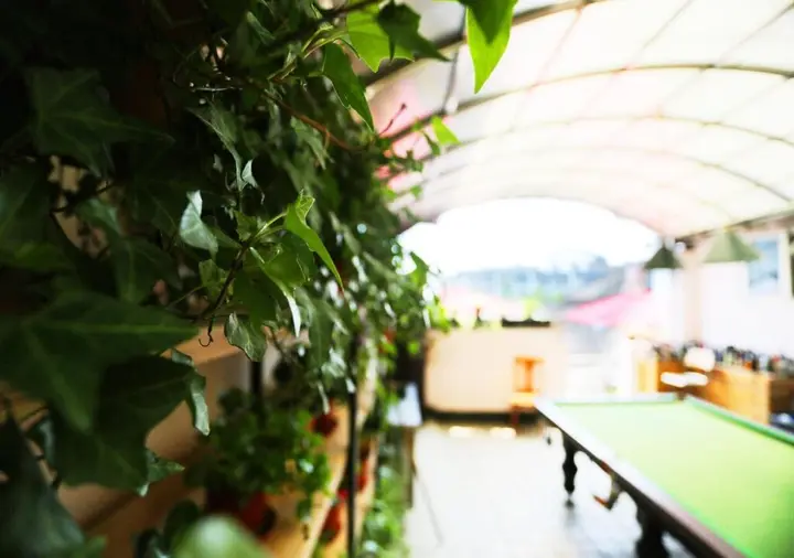 Нанкин: Nanjing Sunflower Youth Hostel