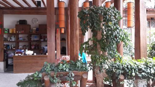 Лицзян: Lijiang Xianshe House
