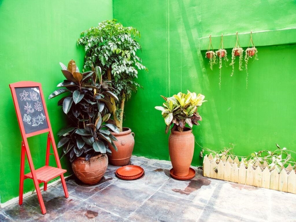 Пекин: Beijing Peas Youth Hostel