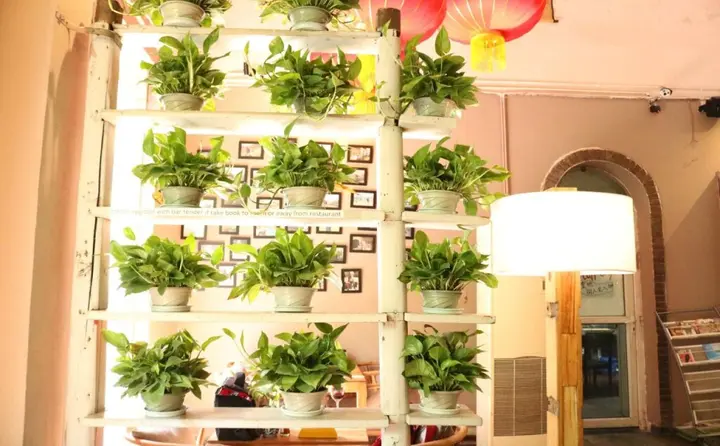 Чэнду: Chengdu Mrs Panda Hostel