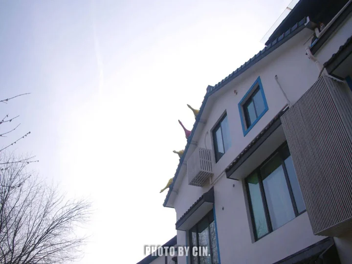 Ханчжоу: Birds Inn