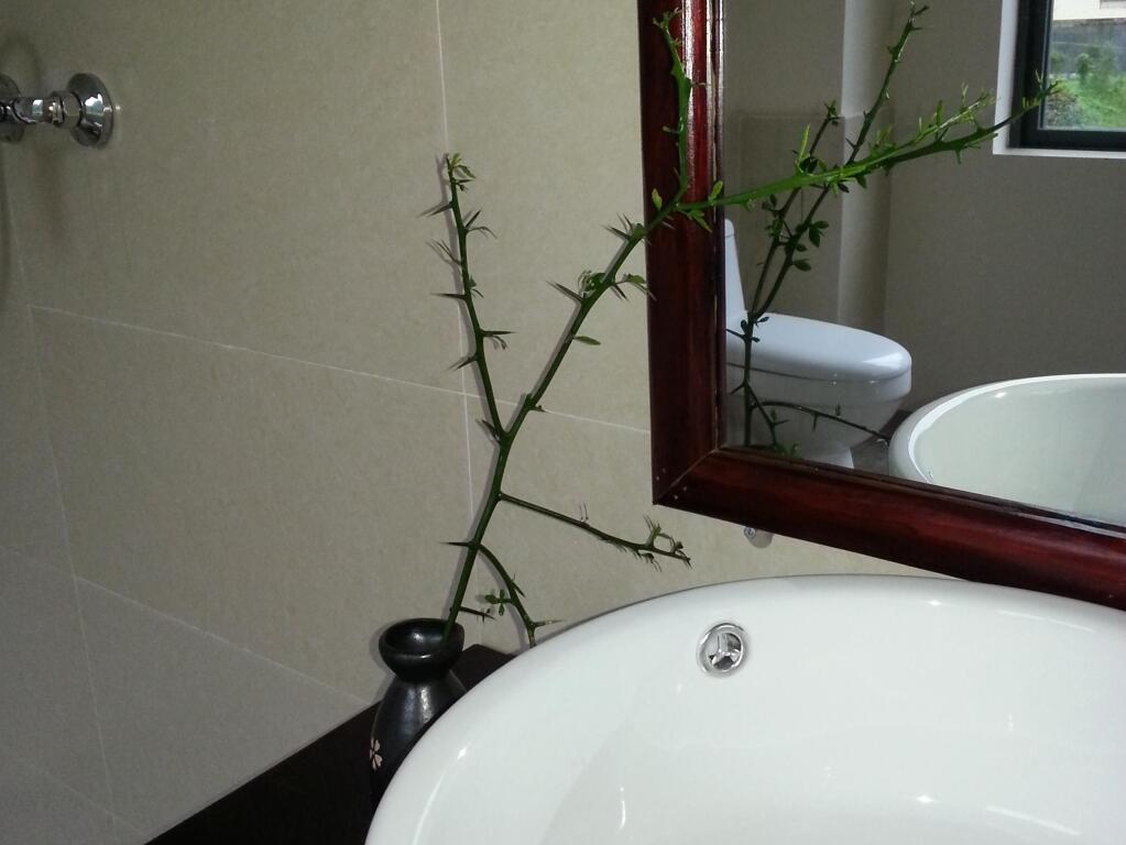 Яншо: Yang Shuo Zen Valley Hotel