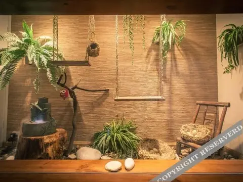 Гуйлинь: Ron Inn