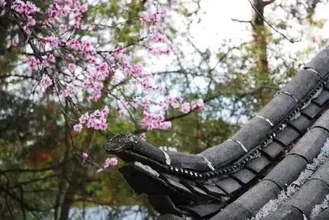 Лицзян: Xianghe Hotel