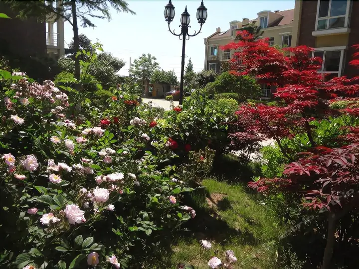 Циндао: Qingdao Oceanside Hotel & Resort