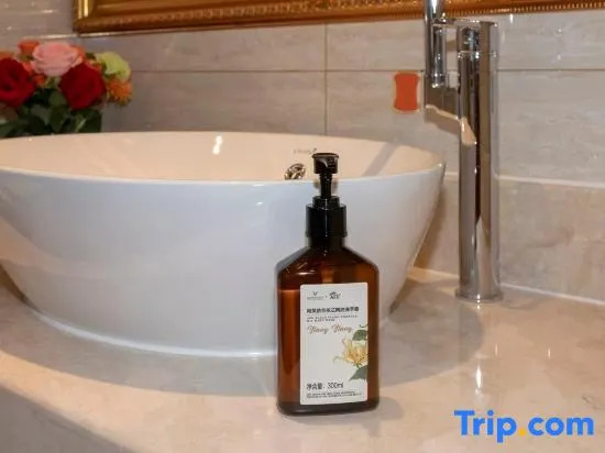 Шанхай: Vienna Hotel - Shanghai PVG Branch
