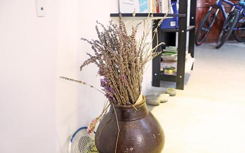 Чэнду: Chengdu Camel Grass Inn-Yeren Inn