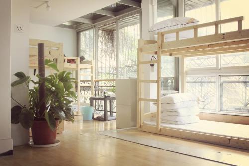 Чэнду: Chengdu Camel Grass Inn-Yeren Inn