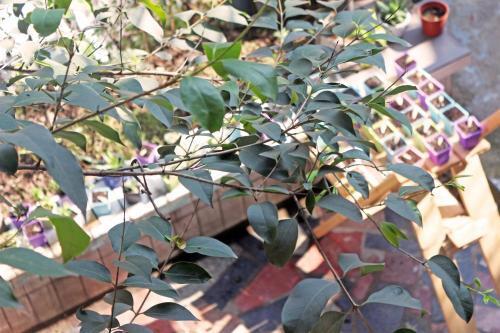 Чэнду: Chengdu Camel Grass Inn-Yeren Inn