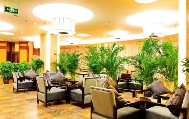 Чэнду: Langzhong Grand