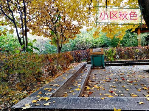 carousel image 0