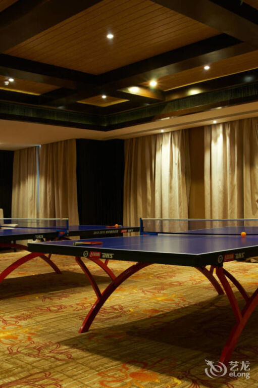Ханчжоу: Hangzhou Yin Long Will Leisure Theme Hotel