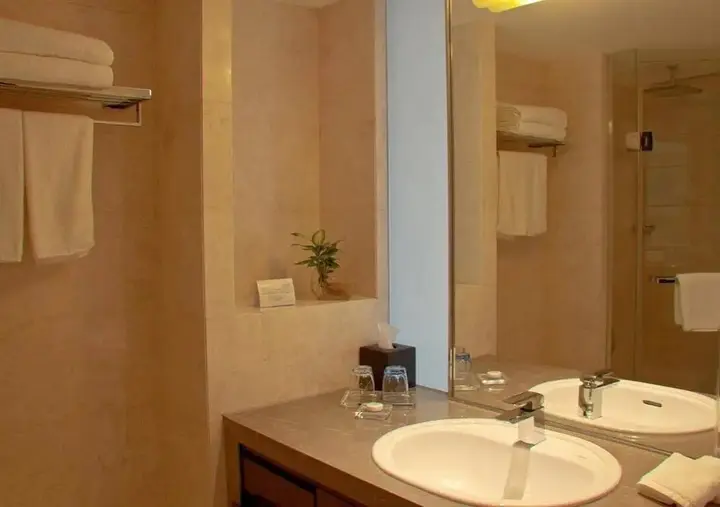Нанкин: Nanjing Shanshui Hotel