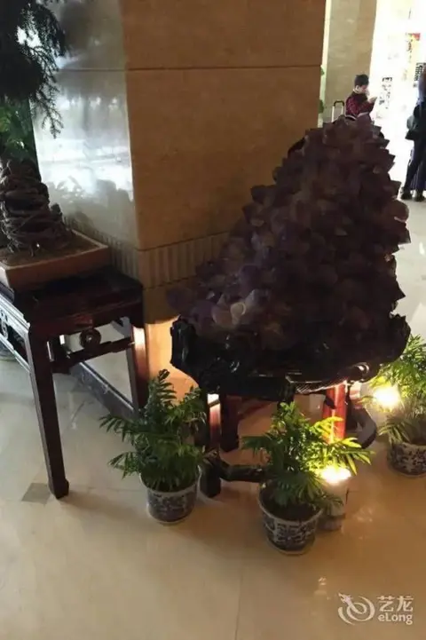Нанкин: Nanjing Shanshui Hotel