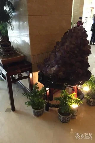 Нанкин: Nanjing Shanshui Hotel