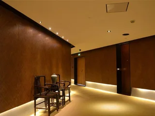 Ханчжоу: Puli Concept Hotel