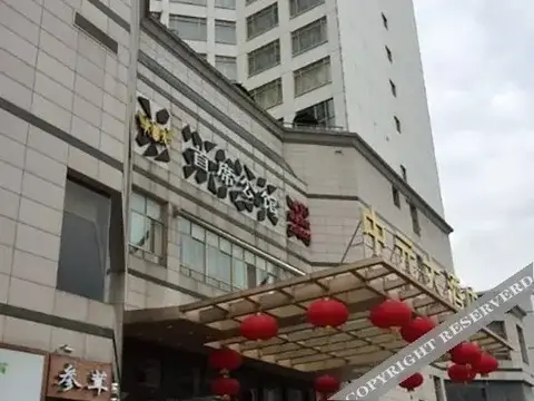 Лунъянь: Centron International Hotel