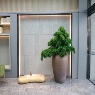 Шэньчжэнь: Ji Hotel Shenzhen North Railway Station