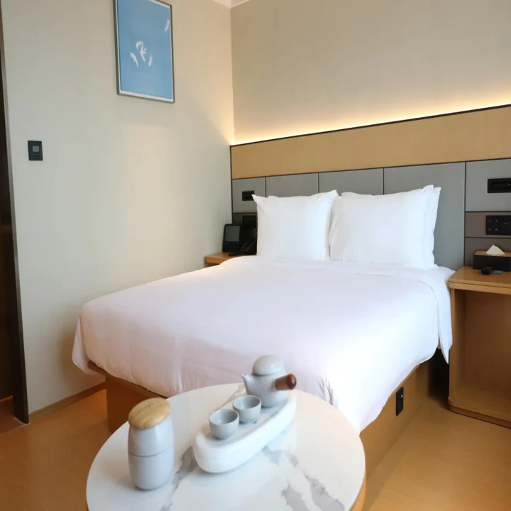 Шэньчжэнь: Ji Hotel Shenzhen North Railway Station
