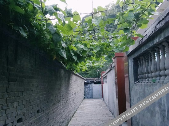 Хандань: Wu'an Tuanyuan Farmstay