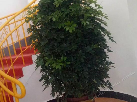 Баодин: Bajiao Manzu Zhuangyuan