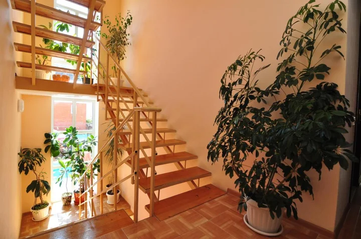 Анапа: Guest House Korsika