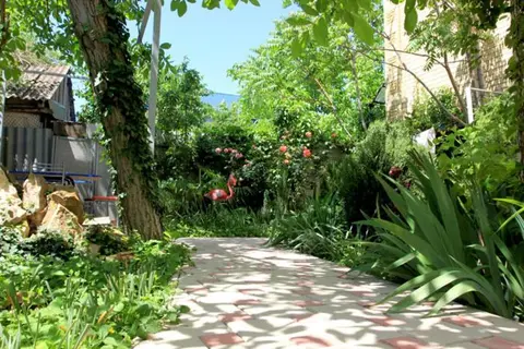 Анапа: Guest House Korsika
