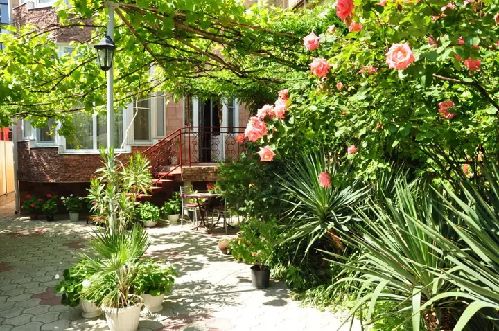 Анапа: Guest House Korsika