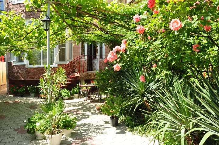 Анапа: Guest House Korsika