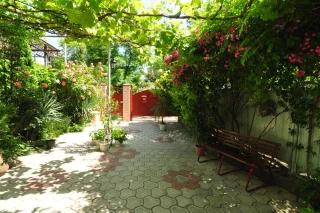 Анапа: Guest House Korsika