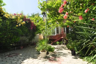 Анапа: Guest House Korsika