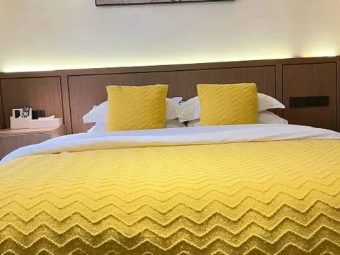 Ибинь: Yibin Shunan Bamboo Forest Sizhi Farm Stay