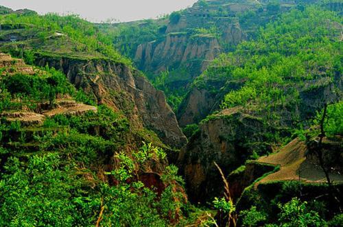 Люян: Qikou Li Jianxin Farmstay