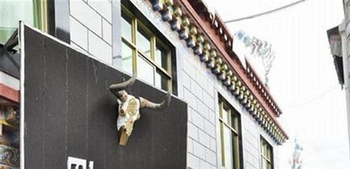 Cool Yak Hotel - Lhasa — фото 1