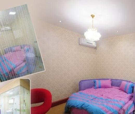 Шицзячжуан: Lecheng Theme Inn