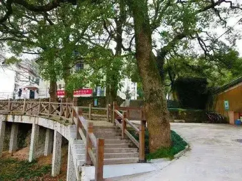 Чжоушань: Zhoushan Putuo Mountain Buddha Farmhouse