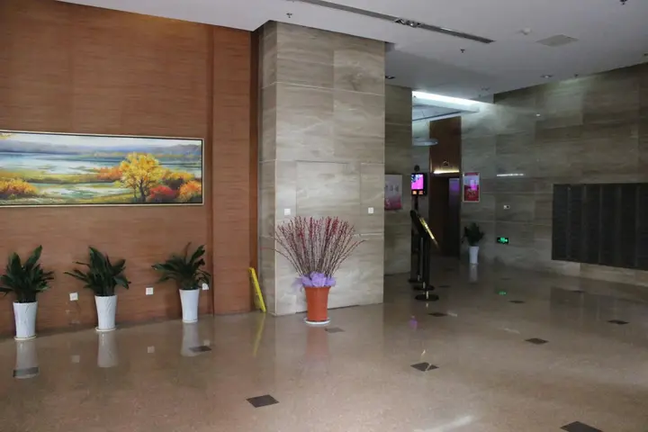 Нанкин: Nanjing Zhixuange Service Apt Shengtian