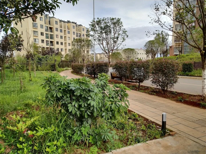Куньмин: Changxin Hangyue Hotel