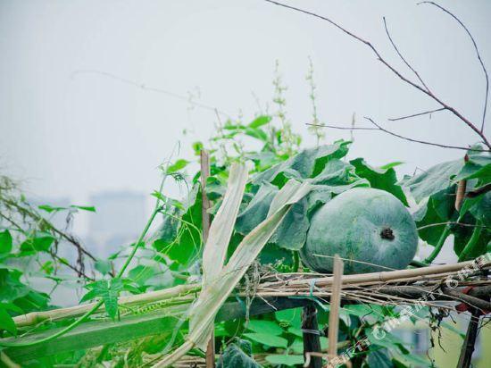 Housheng Youth Hostel — фото 4