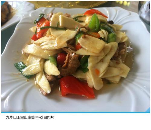 Чичжоу: Chizhou Jiuhuashan Xinyuelanting Inn