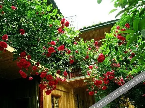 Ya'an Shangli Moziwan Inn — фото 4