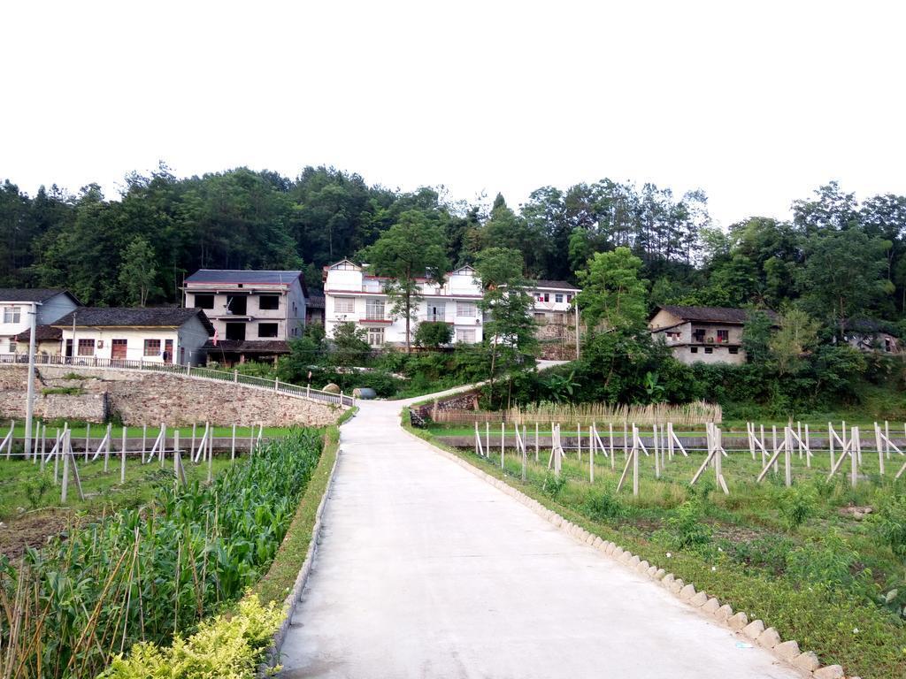 Чжанцзяцзе: Taohuaxi Inn