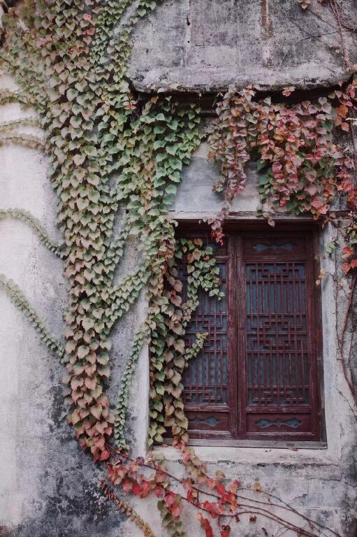 Хуаншань: Hongcun Old House International Youth Hostel